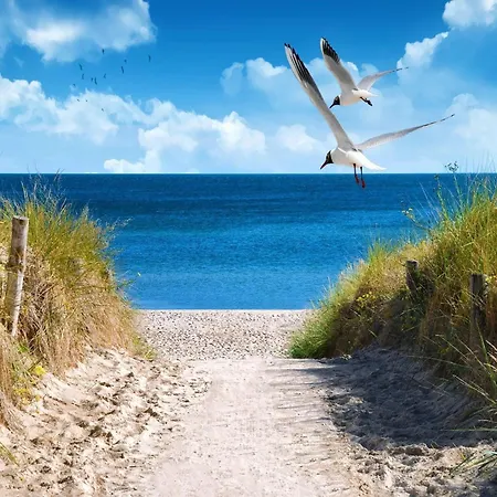 بيت للعطل Meeresflucht